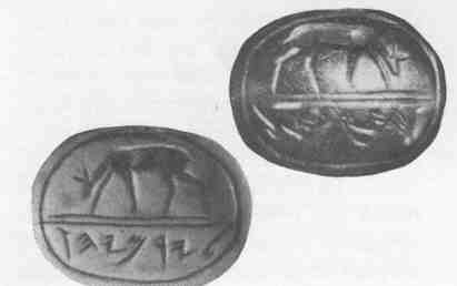 Ju_seals_10